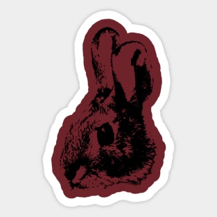 Rabbit Sticker